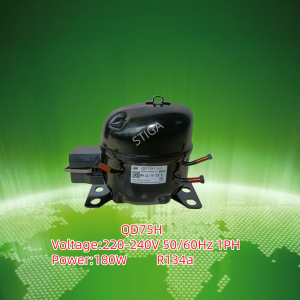 Wansheng Compressor